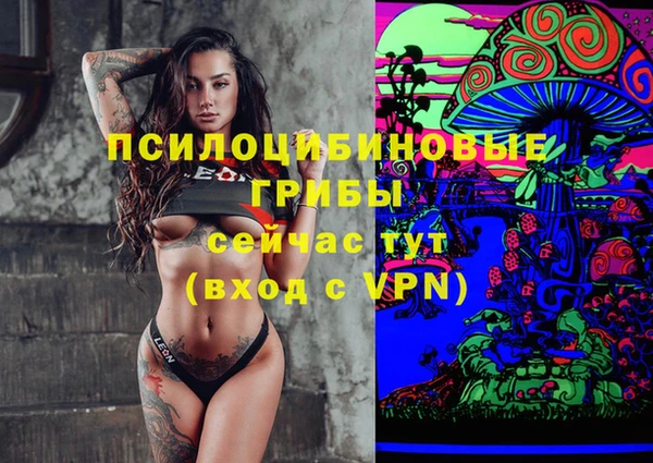 прущие грибы Алексин