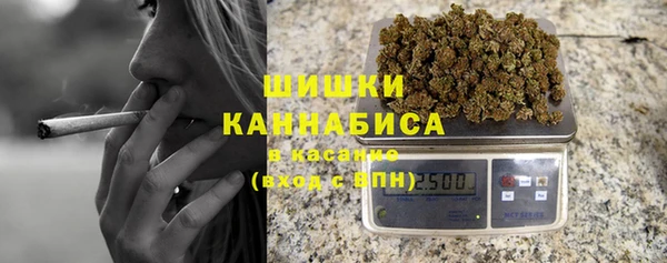прущие грибы Алексин