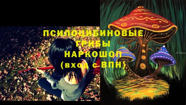 мяу мяу мука Алексеевка