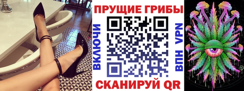 блэк спрут онион  Куса  это как зайти  Псилоцибиновые грибы прущие грибы 